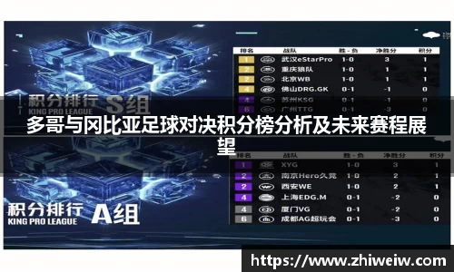 多哥与冈比亚足球对决积分榜分析及未来赛程展望